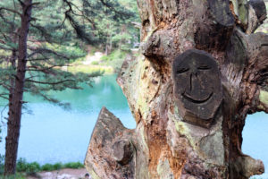 Smiley face carved into tree at the Blue Pool, Furzebrook