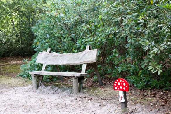 Toadstool sign next to bench at the Blue Pool