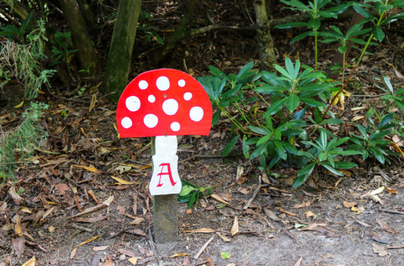 Red and white wooden toadstool at the Blue Pool, Furzebrook