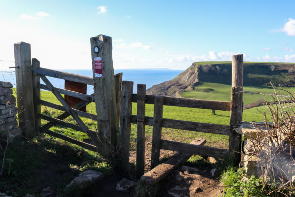 Gate and stile for Chapman's Pool