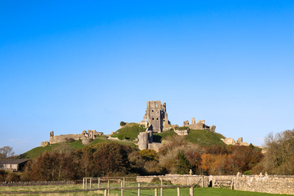 View of Corfe Castle ruin from the village cemetery
