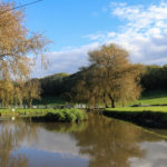 The duckpond in East Creech village
