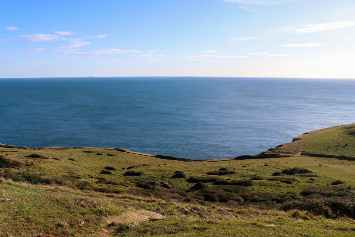 The hill at Dancing Ledge looking down to the sea