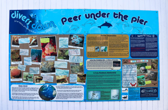 Information board outside Divers Down in Swanage