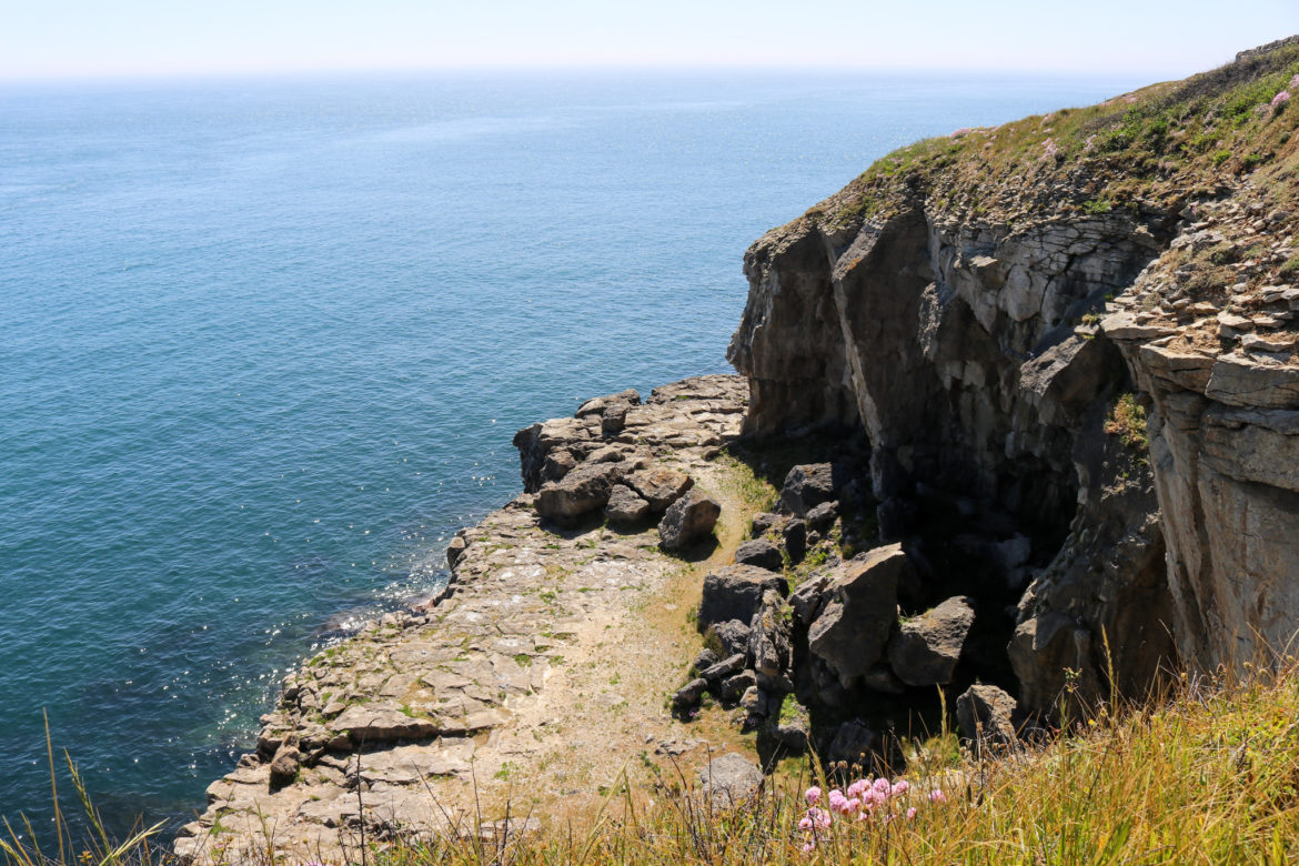 Durlston cliff with Tilly Whim caves entrance visible