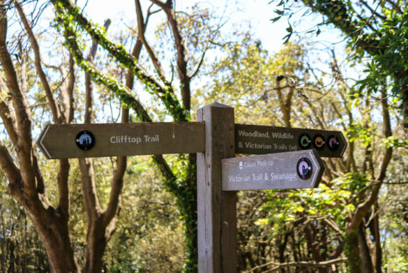 Wooden signpost for walking routes through Durlston Country Park