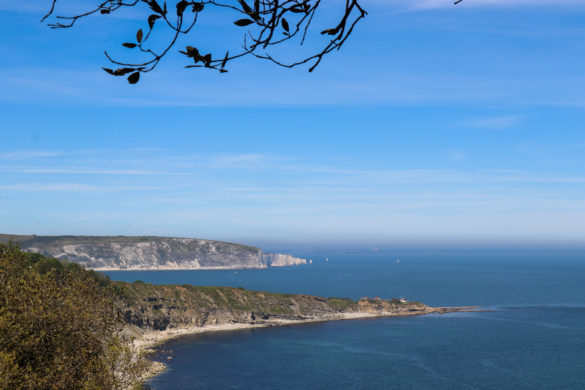 Peveril Point and Ballard viewed from Durlston Country Park