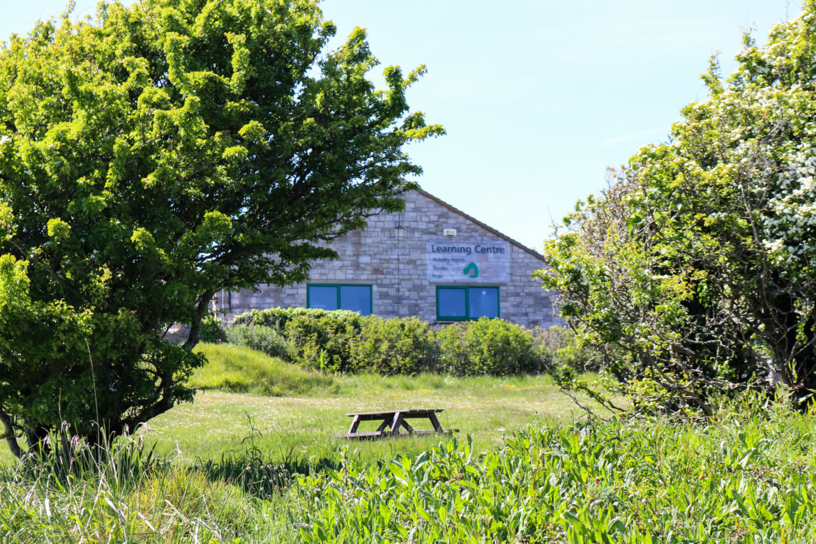Durlston learning centre through trees 