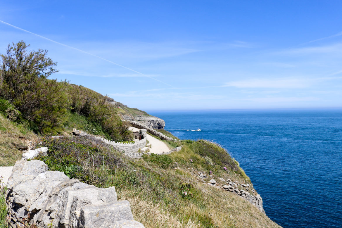 Coast path at Durlston Country Park in Swanage