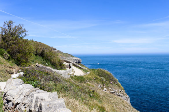 Coast path at Durlston Country Park in Swanage