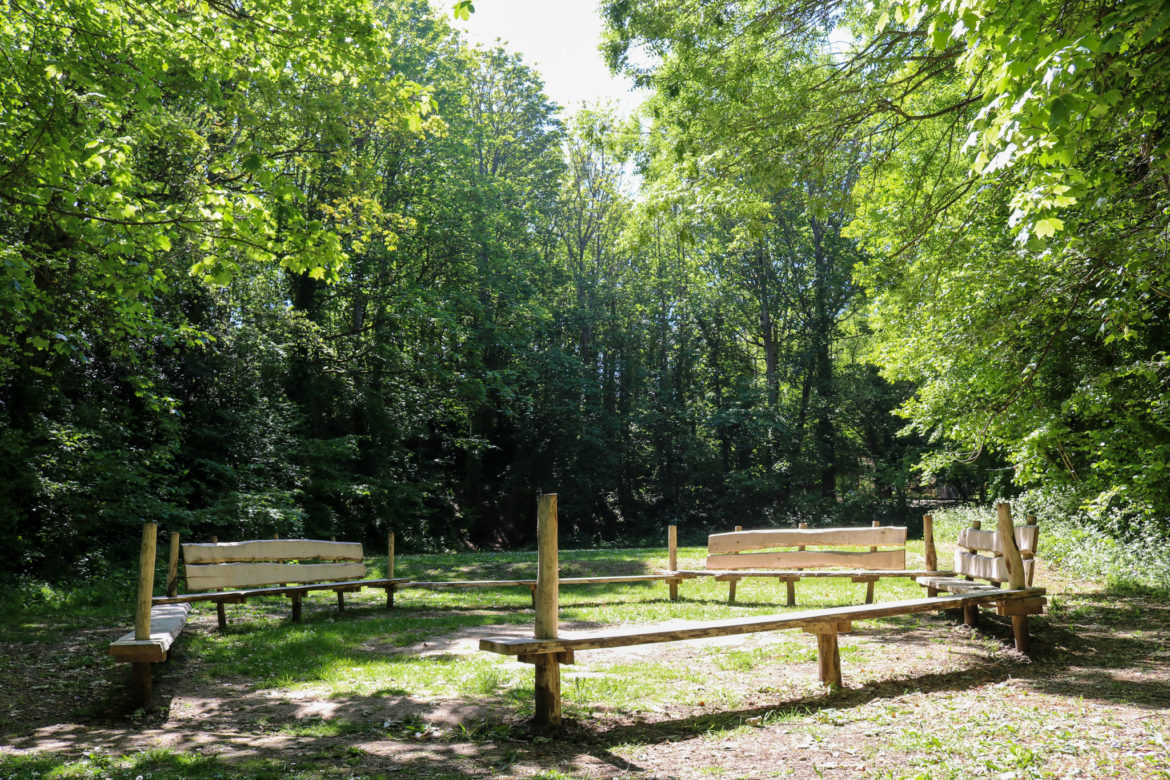 Durlston woodland seating area