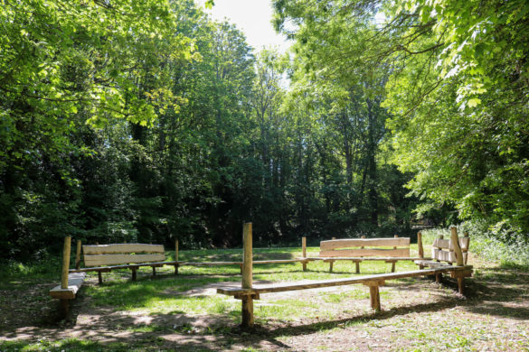 Woodland seating area in a glade at Durlston Country Park