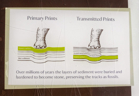 Keate's Quarry dinosaur tracks explanation board