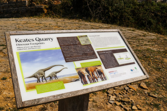 Keate's Quarry dinosaur tracks National Trust information board