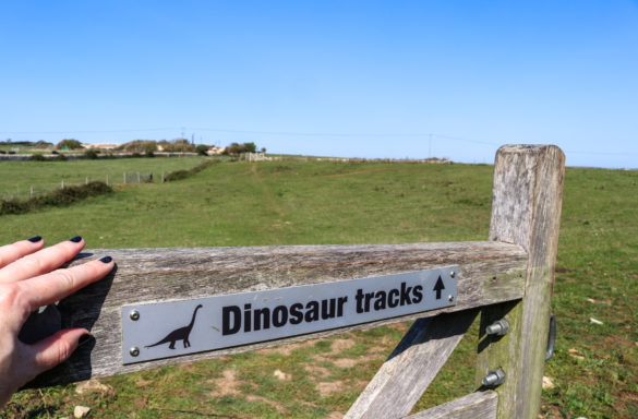 Keate's Quarry dinosaur tracks sign