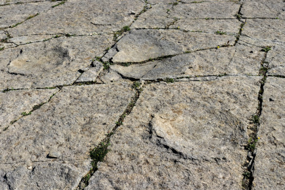 Brachiosaur footprints at Keate's Quarry