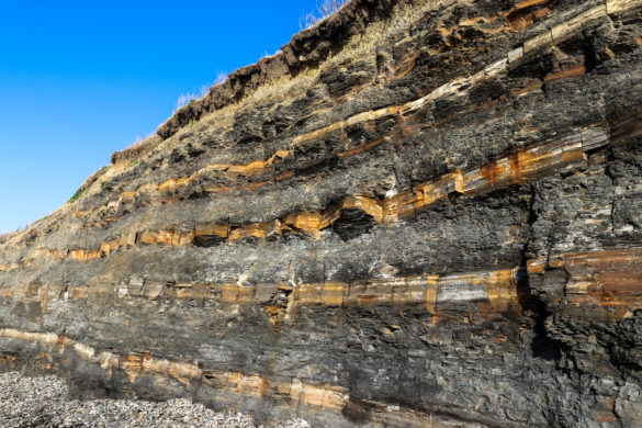 Layers of rock in the Kimmeridge Bay cliffs