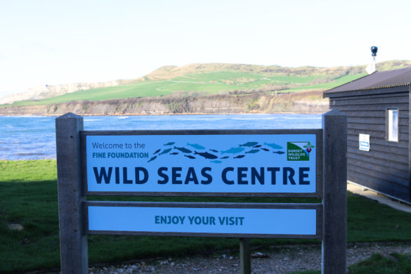 Kimmeridge Wild Seas Centre sign with the bay in the background