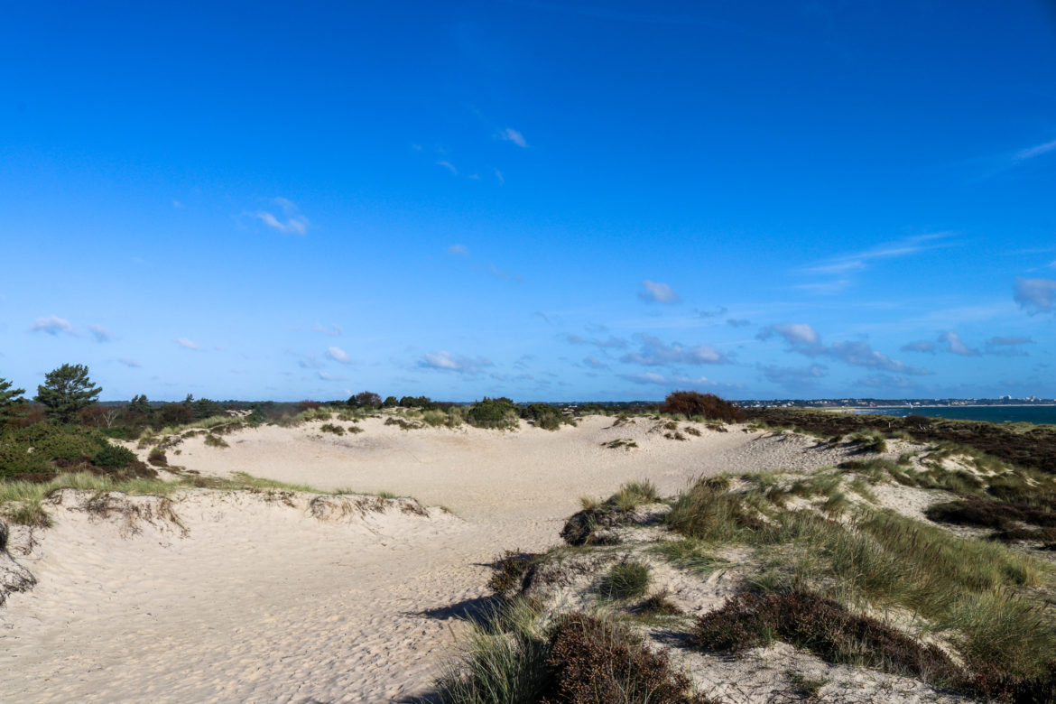Sand dune crater at Knoll Beach in Studland