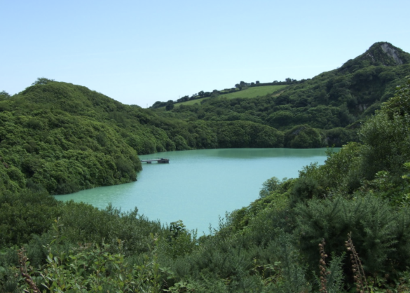 Disused China Pit, near St Austell