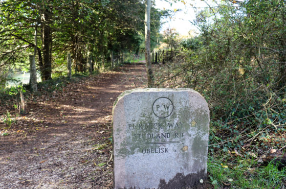 Purbeck Way stone marker at the foot of the hill path to the obelisk in Swanage