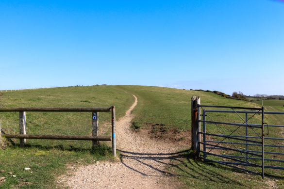 Gate on the Purbeck Hills leading to Nine Barrow Down