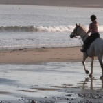 Horse rider on beach