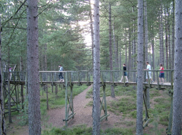 People walking across treetop bridge in Moors Valley Country Park