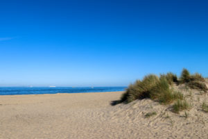 Sand dune and beach at Studland's Shell Bay
