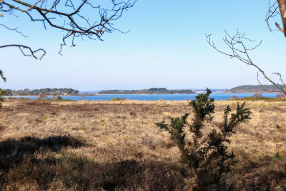View across to Poole Harbour from Ferry Road, Studland