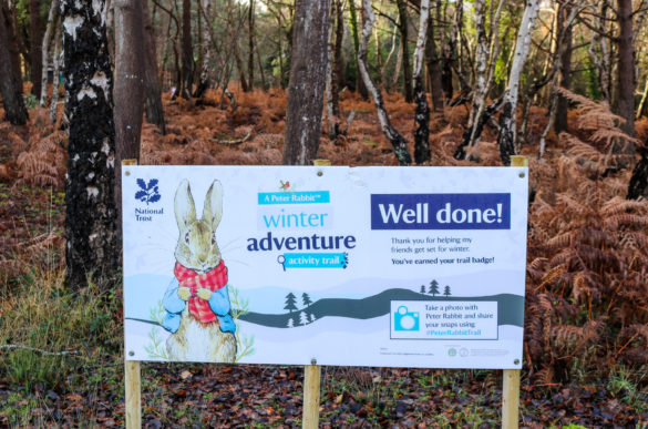 National Trust Peter Rabbit-themed information board at Knoll Beach