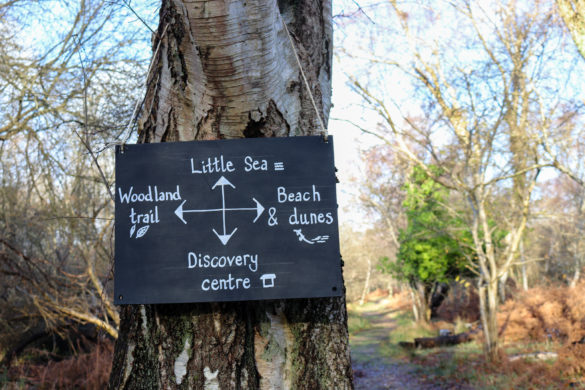 Sign for little sea on Studland's woodland walk