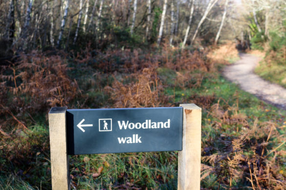Woodland walk sign at Studland's Knoll Beach