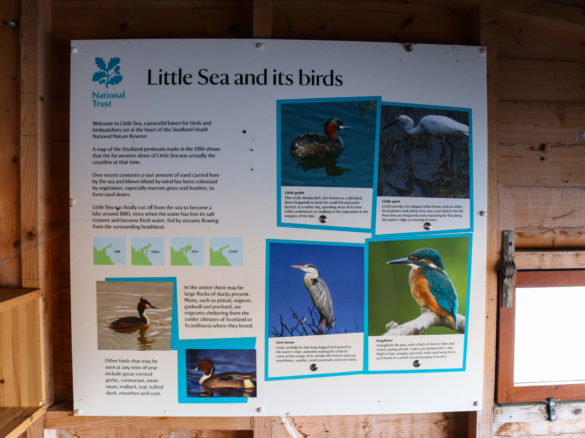 Studland's Little Sea bird-spotting information board in a bird hide