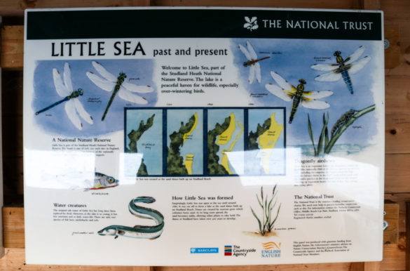 Information board explaining the history of coastal change at Little Sea in Studland