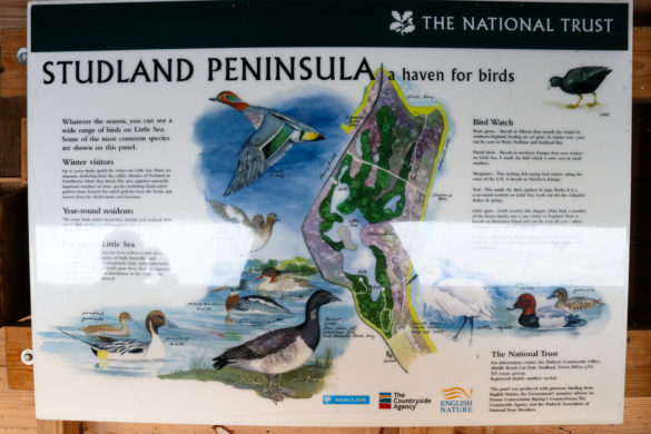 Bird information board at Studland's Little Sea