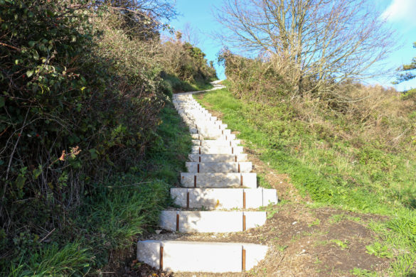Stone steps leading to the obelisk in Swanage