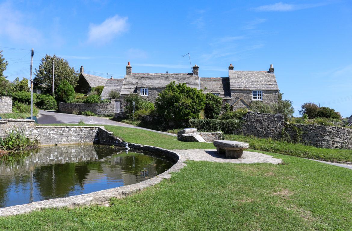 Duck pond in front of houses in Worth Matravers