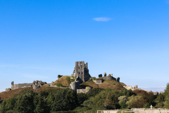 View of Corfe Castle ruin from God's Acre cemetery