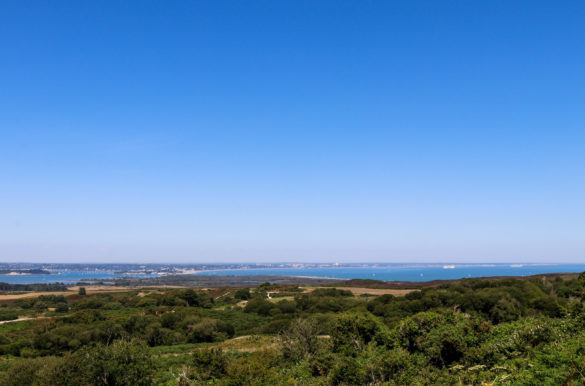 Poole Harbour view from Swanage Viewpoint