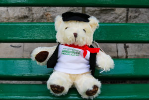 Swanage Railway teddy bear on bench at the station