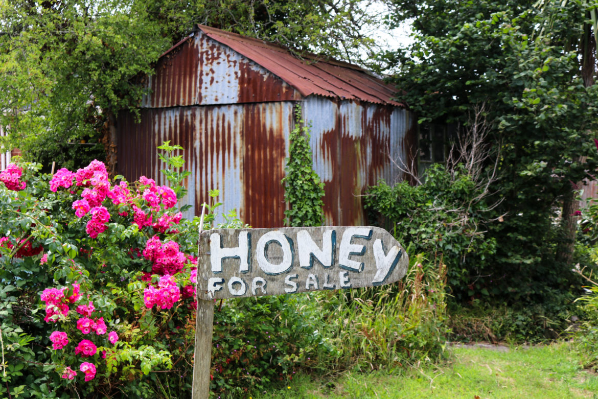 Honey for Sale sign by shed in Harman's Cross
