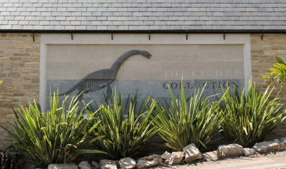 The Etches Collection museum sign with dinosaur