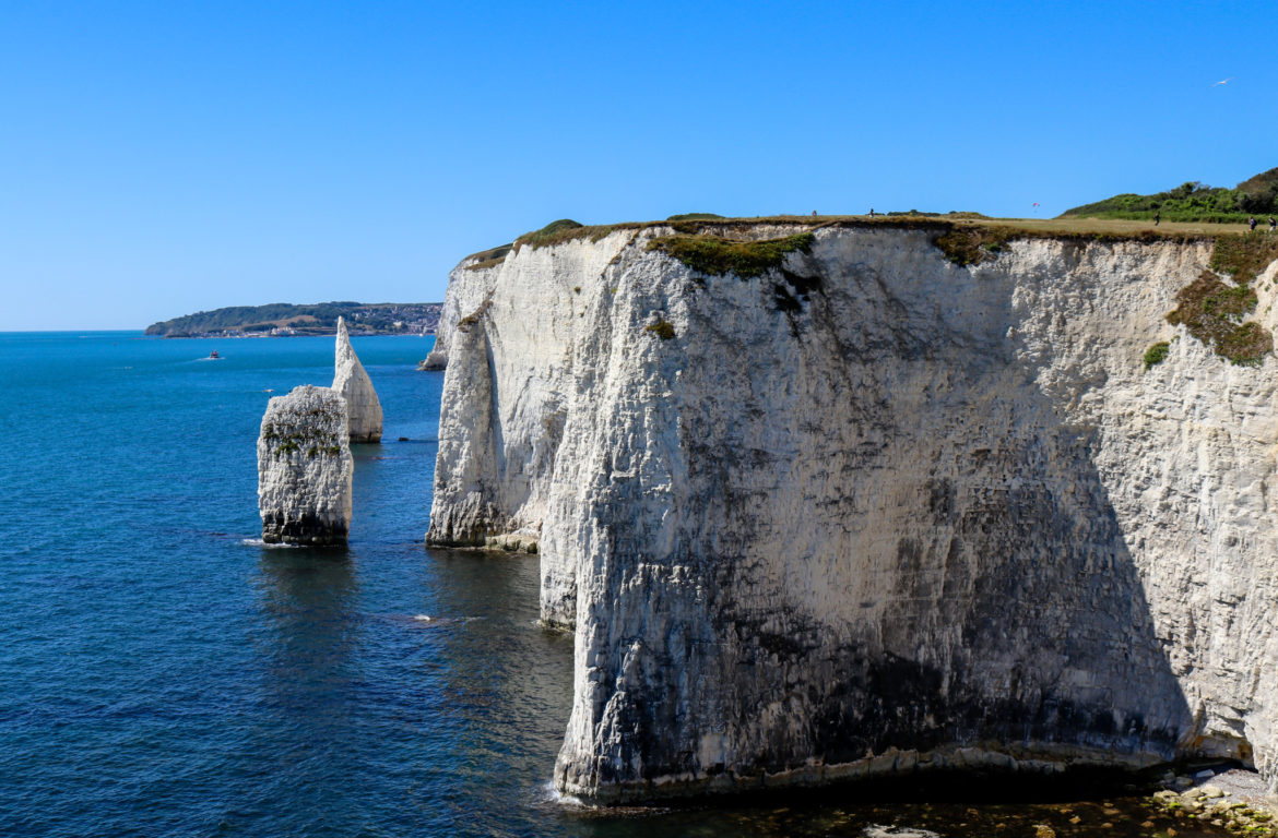 Chalk stacks The Pinnacles in Studland
