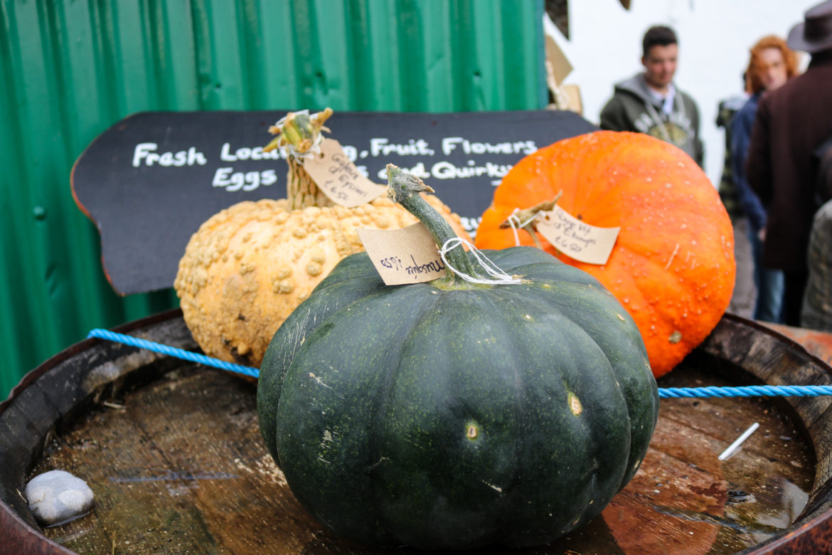 Pumpkin varieties at the pumpkin festival in Worth Matravers