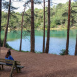 Person sitting on bench looking at Blue Pool through trees