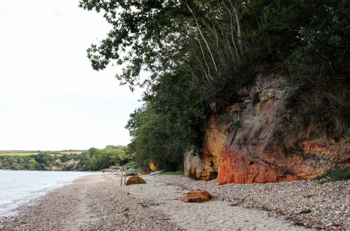Colourful cliff face and trees at South Beach Studland