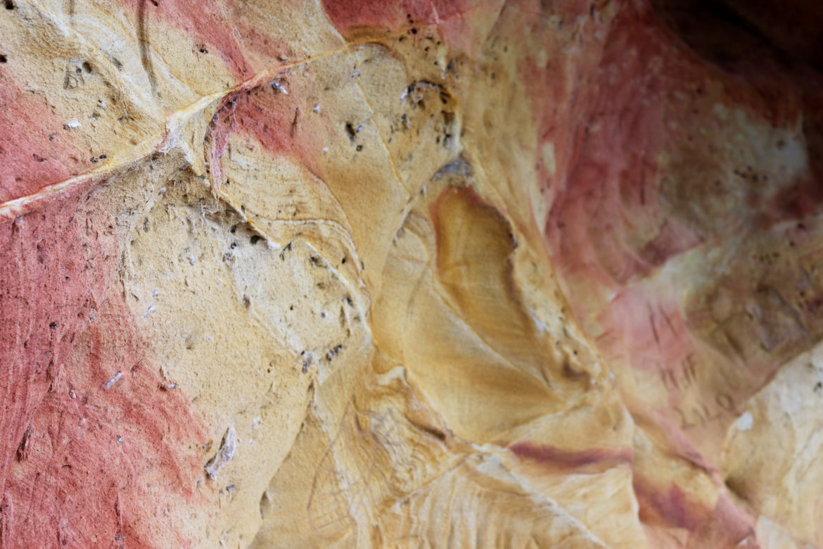 Detail of yellow and red sandstone cliff in Studland