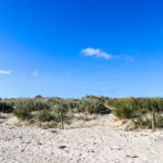 Sand, grass and sky at Studland's Knoll Beach