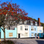 Rowan tree in front of colourful buildings and the Lulworth Cove Inn in West Lulworth